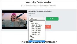 Youtube download yt1s - excelhor